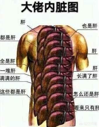 不用充值的网络游戏