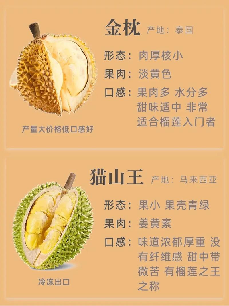 2025新澳门天天开奖结果和金枕榴莲降价300多与金枕榴莲22元一斤贵吗