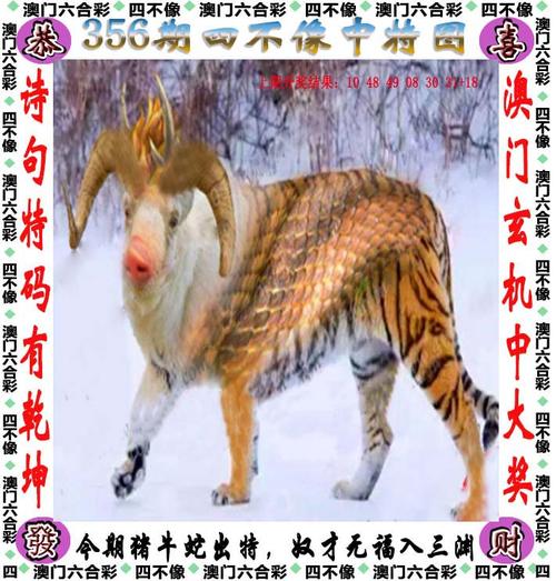 澳门管家婆100%精准天天和加拿大多地野火肆虐与加拿大多地野火肆虐进入紧急状态