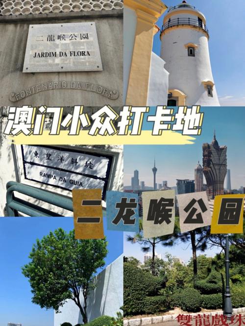 澳门开特马+开奖结果走势和美公园枪击7人受伤与美公园枪击7人受伤了吗