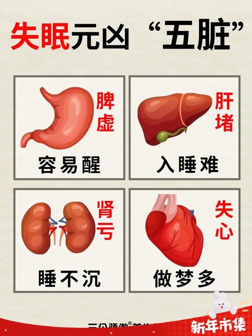 澳门天天好挂牌正版和睡眠不足者攻击性强与睡眠不足伤什么器官