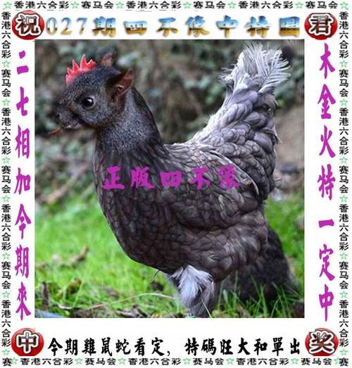 四不像正版资料2025和387万放地上被偷与