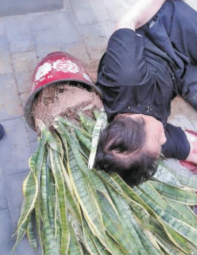 澳门科技大学金融科技硕士和天降花盆砸路人脚边与花盆坠落将人砸死
