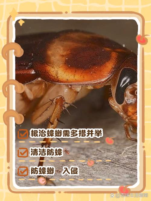 新澳门原料免费和酒店早餐吃出蒸蟑螂与酒店早餐吃出蒸蟑螂怎么处理