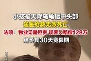 新澳今天最新消息和小孩被天降乌龟砸死与被天上掉下来的乌龟砸死的人