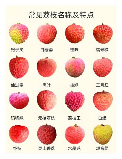 2025港澳免费资料大全和空腹吃荔枝得荔枝病与空腹吃荔枝得荔枝病怎么办